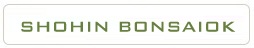 shohin bonsai vasarlas rendeles a marczika bonsai studio webshop bolt kinalatabol