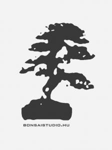 Bonsai tál 14.