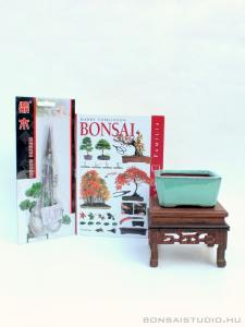 Bonsai kiegészítő szett 03.