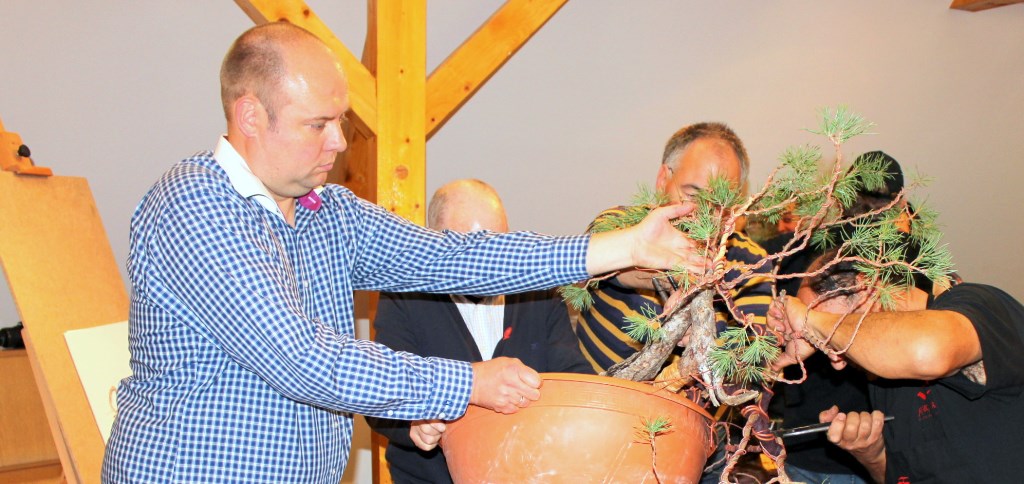 marczika bonsai studio bonsai alakitasi bemutato erd hungary