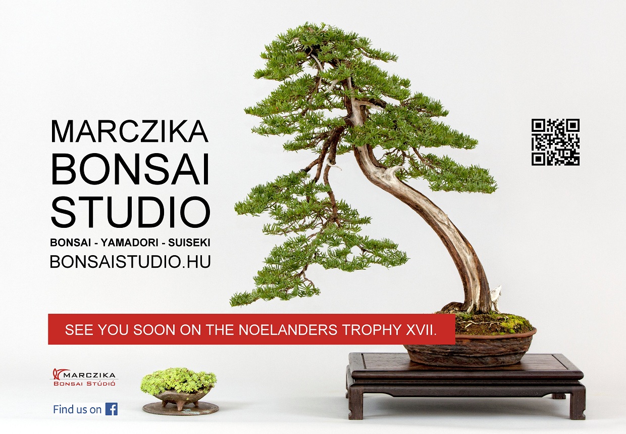 noelanders trophy exhibition and bonsai show traders marczika bonsai sudio